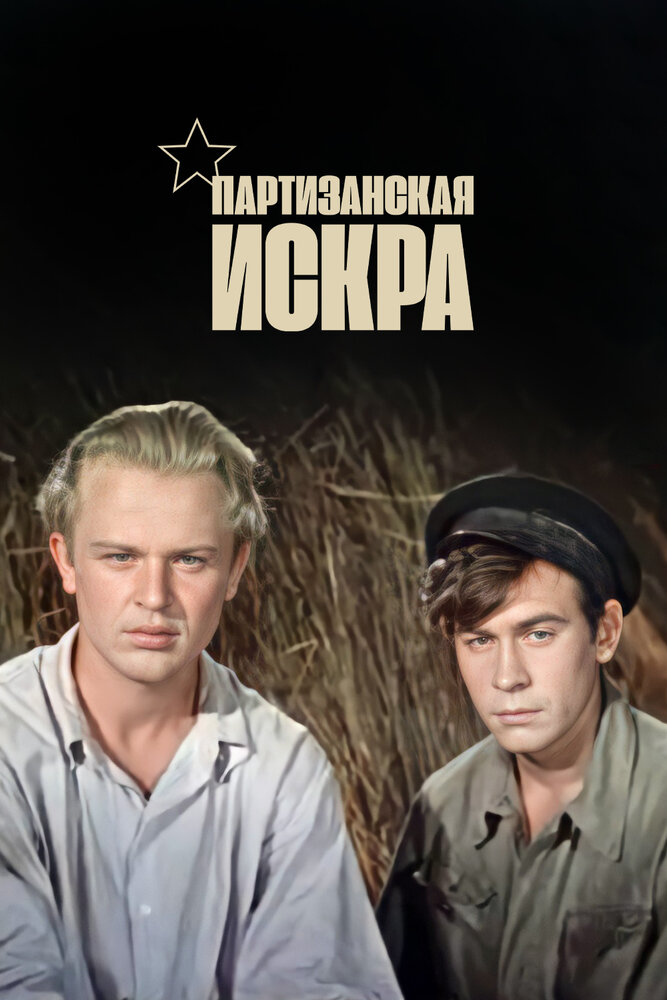 Партизанская искра (1957) постер