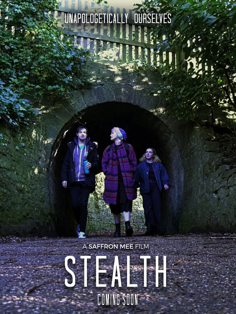 Stealth (2019) постер