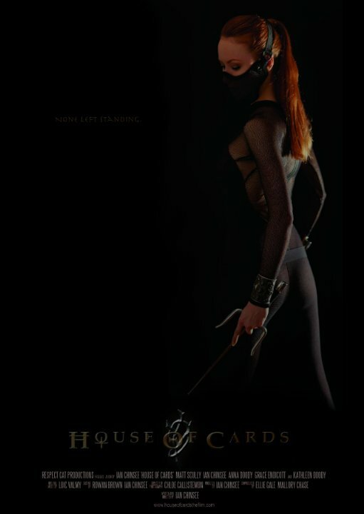 Карточный домик (2013) постер