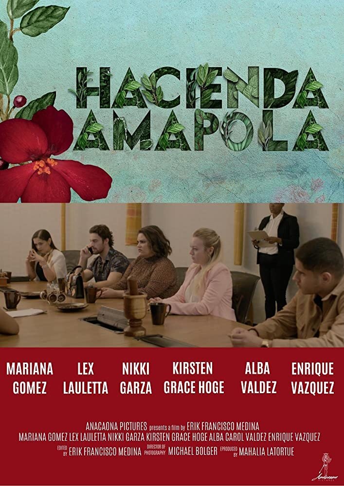 Hacienda Amapola (2019) постер